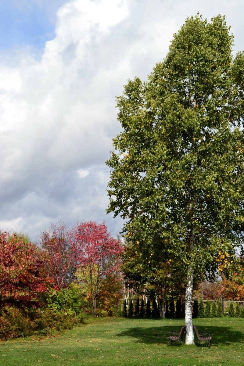 🌸 도카치 힐스 이미지 1